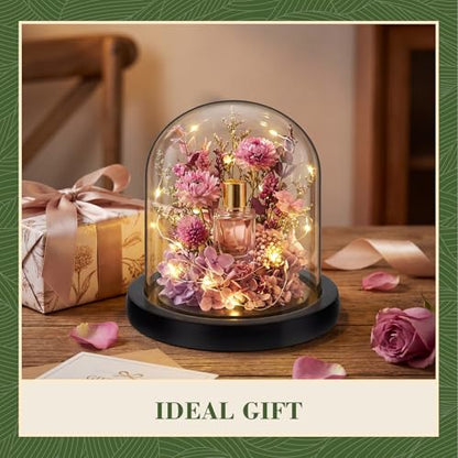Suclain 4Pc Glass Dome Cloche with Wood Base, Black, 4.3" X 3.8" - color: Black, size: 4.3" X 3.8"