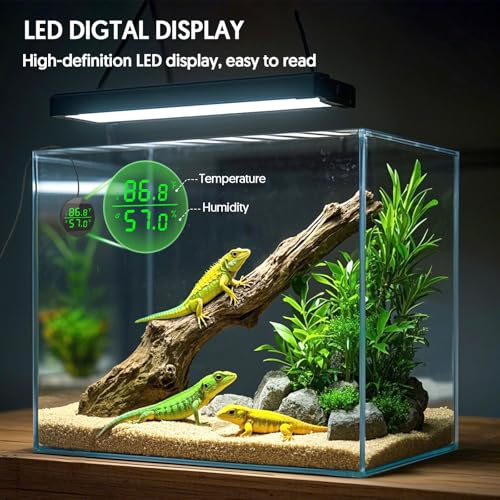 QZQ Reptile Thermometer and Humidity Gauge, Digital Display, 2-Pack Black - color: Black - 2 Pack