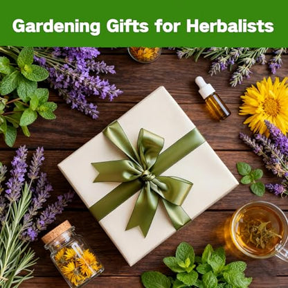 Lush&Dew Ancestral Apothecary Medicinal Tea Herb Seed Chest, Gardening Gift - style: Medicinal Herbs