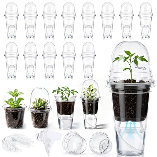 30 Pack 3.5" Self Watering Propagation Pots Clear, Plain Cup - size: 3.5"