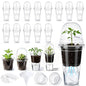 30 Pack 3.5" Self Watering Propagation Pots Clear, Plain Cup - size: 3.5"
