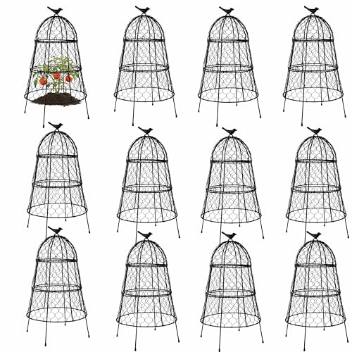 Garden Cloches for Plants, Large Plant Protectors from Animals, Pack 12 - size: Pack of 12
