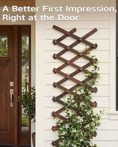 Expandable Wood Trellis for Climbing Plants & Wall Decor, French Country