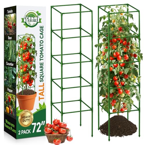 2 Pack 72" Tomato Cages for Garden, Heavy Duty Adjustable Plant Support - size: 72 inch