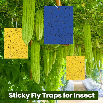 Qualirey 100 Pcs 6x8 Inch Yellow Blue Sticky Traps for Gnats - color: Yellow,Blue