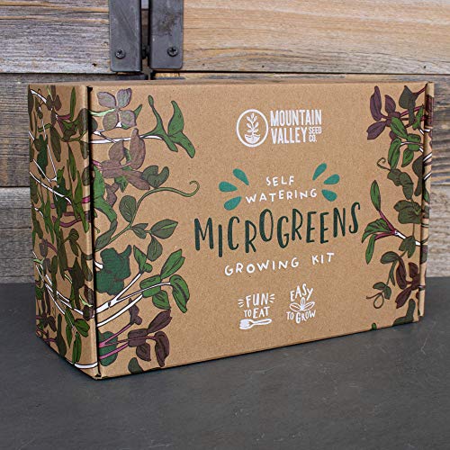 Mountain Valley Seed Co Self-Watering Indoor Microgreen Kit Soil Hydroponic - size: Combo