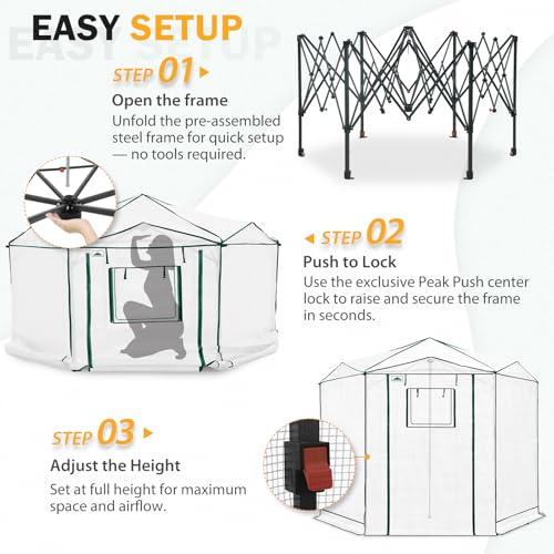 EAGLE PEAK 8.5x8.5 Easy Setup Pop Up Greenhouse, Hexagon, Clear/White - color: Clear/White, size: 8.5x8.5