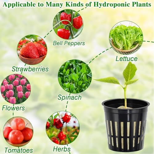 Halatool 72PCS 1.2" Rockwool Cubes & 56PCS 2" Net Cups for Hydroponics - size: 1.2" rockwool-72pcs+2" net cups-56pcs