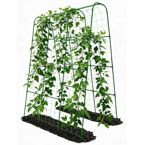 Cucumber Trellis for Raised Bed with Plastic Coated Steel Pipe-63"*50",Grn - size: 51L*23.6W*62.4H inch