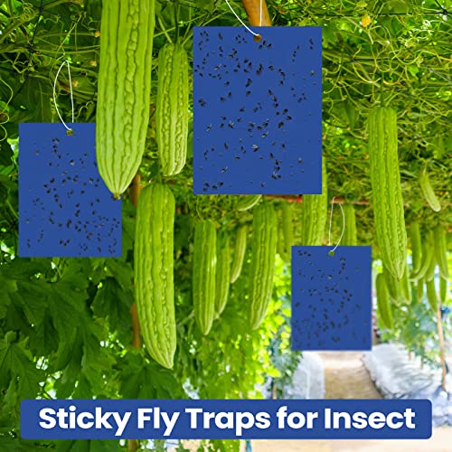 Qualirey 100 Pcs 6x8 Inch Blue Sticky Traps for Thrips - color: Blue