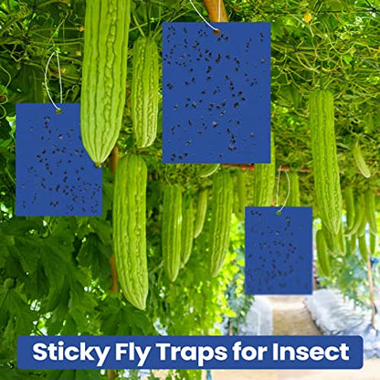 Qualirey 100 Pcs 6x8 Inch Blue Sticky Traps for Thrips - color: Blue