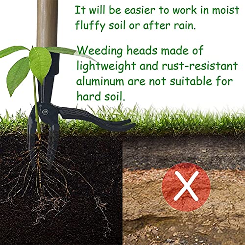 Weed Puller Tool Head Replacement, Weeding Puller Remover Tool Stand Up Heavy Duty for Yard Garden, 4 Claws Steel Head Artifact Uprooting Weeder Tool Design Easily Remove Weeds (No Handle)