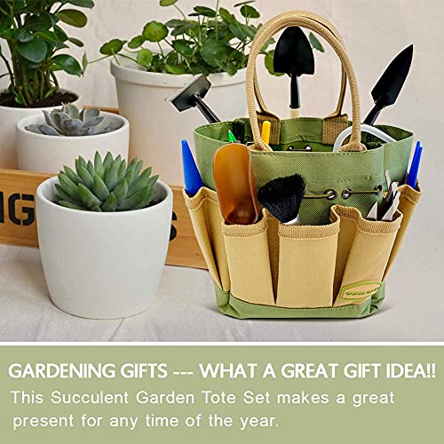 G GOOD GAIN Garden Succulent Kit with Organizer Bag,15 Pieces, Green - style: Green