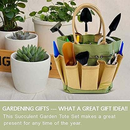 G GOOD GAIN Garden Succulent Kit with Organizer Bag,15 Pieces, Green - style: Green
