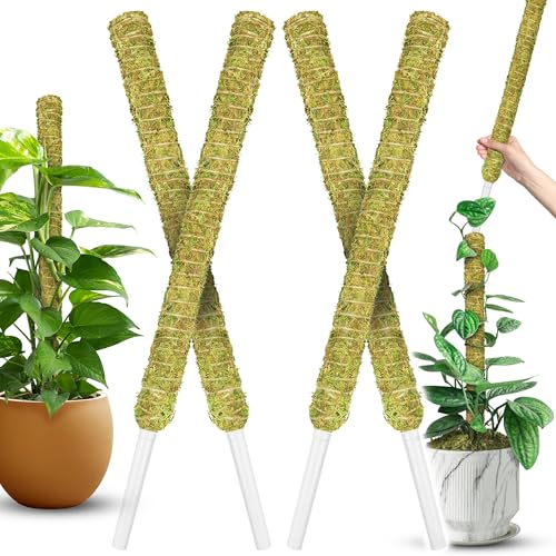 DUSPRO 4 Pack 22" Natural Stackable Moss Pole for Plants Monstera - color: Natural 4pcs