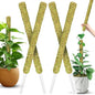 DUSPRO 4 Pack 22" Natural Stackable Moss Pole for Plants Monstera - color: Natural 4pcs
