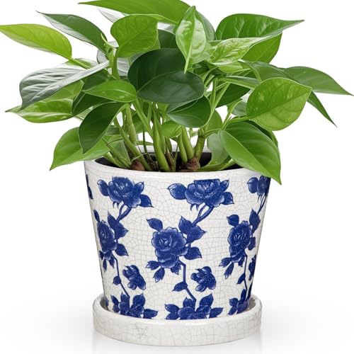 Ceramic Pot for Indoor Plants - 5.5 inch Flower Pot for Plants with Drainage Holes and Saucer Ice Crack Diamond Rose Flower Pattern Ceramic Planter for Outdoor Indoor Herb Snake Plant (Blue & White) - color: Blue & White