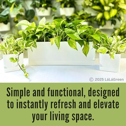 LaLaGreen Planters for Indoor Plants (7 Pack) White Window Boxes Planter - color: White