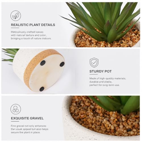 Artificial Succulent Cactus Plant Set Ceramic Flower Pot Set of 3 for Home, Office, Desk, Bedroom, Living Room Decoration