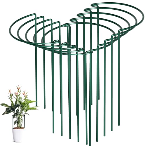 10 Pack Peony Cages and Supports, 10" (W) x 16"(H) Plant Support, Heavy-Duty Metal Plant Support Stakes, Plant Stakes for Outdoor & Indoor Plants, Perfect for Flowers and Vegetable - size: 10"x16"-10pcs