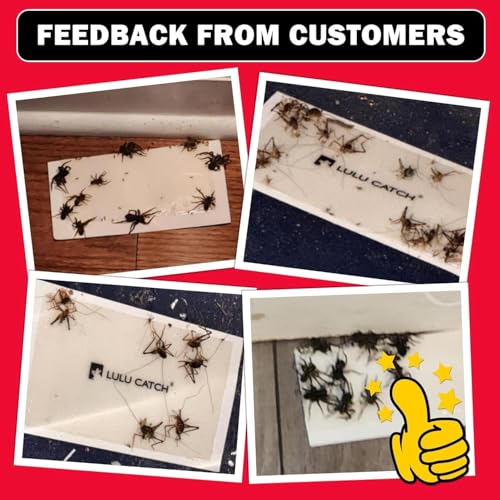 LULUCATCH Mouse Traps, 36Pack Pre-Baited Sticky Mouse Traps Indoor for Home, Non-Toxic Bulk Sticky Pads, Glue Traps for Rats, Bugs, Spider, Mice, Cockroach, Pet Safe, Easy to Use - size: 36 Pack
