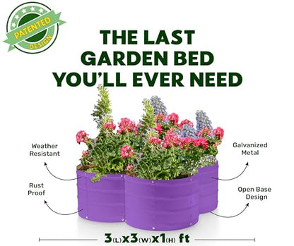 Plant & Plot Galvanized Raised Garden Beds Outdoor // 3×3×1 ft Planter Raised Beds for Gardening, Vegetables, Flowers // Large Metal Garden Box (Purple) // Patented Tool-Free Design - color: Purple