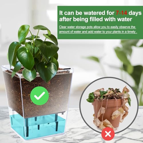 Self Watering Pots Set, Clear Self Planter Pot for Indoor Plants - size: 3Pcs Small