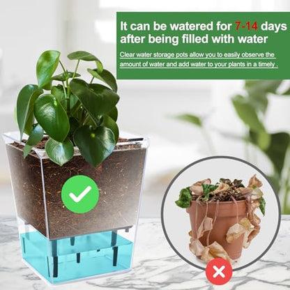 Self Watering Pots Set, Clear Self Planter Pot for Indoor Plants - size: 3Pcs Small