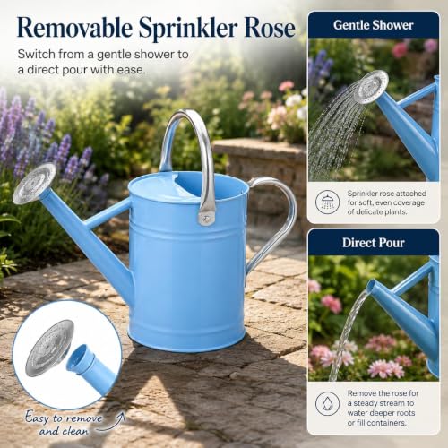 1 Gallon Metal Watering Can for Indoor Outdoor Plants, Blue - color: Blue