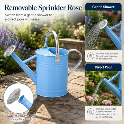 1 Gallon Metal Watering Can for Indoor Outdoor Plants, Blue - color: Blue