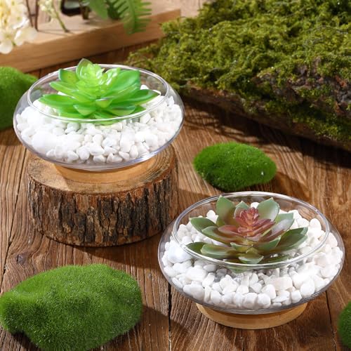 Baderke 2 Sets Lotus Bowl Planter Glass Lotus Flower Bowl with Tray
