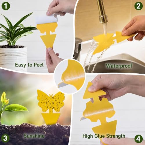 Yellow Sticky Fruit Fly Trap 36 Pack, Dual-Sided Gnat Traps for Plants - size: 36 Packs