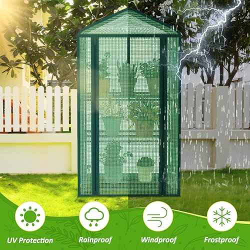 AlisisFores 3-Tier Greenhouse, PE Cover, 4ft Tall - style: 3-Tier
