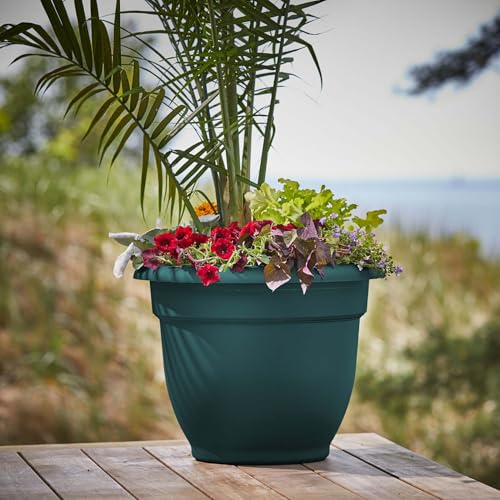 Bloem Ariana 20" Plastic Self-Watering Planter, Charleston Green, 2-Pack - color: Charleston, size: 20" (Pack of 2)