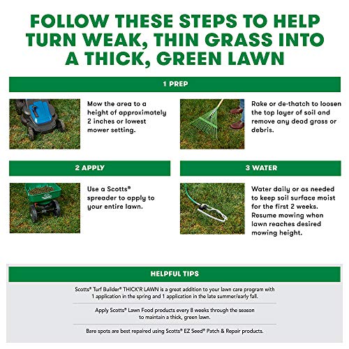 Scotts Turf Builder Thick'R Lawn Tall Fescue Mix, 40 lbs. - size: 40 lb.