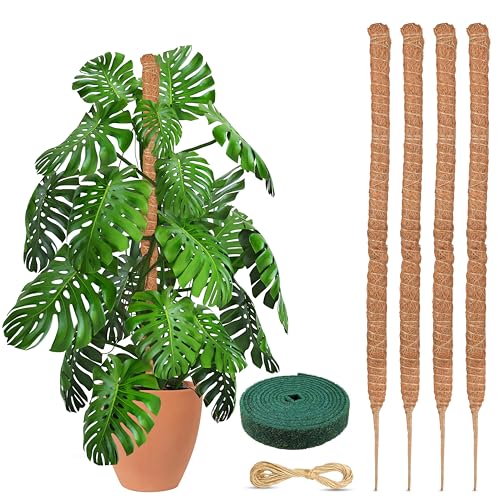 EcoNour Moss Pole for Plants – 25 inches (4 Pack) | Monstera Plant Support for Plant Climbing and Growth | Elevate Your Indoor Garden, Plant Support for Indoor Potted Plants to Grow Upwards - size: 25 Inches - (4 PCS)
