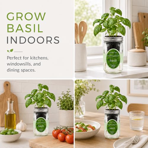 Hydroponic Growing Kit, Self-Watering Mason Jar Herb Garden Starter Kit Indoor, Windowsill Herb Garden, Grow Your Own Herbs from Organic Seeds (Basil) - color: Basil