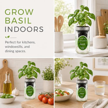Hydroponic Growing Kit, Self-Watering Mason Jar Herb Garden Starter Kit Indoor, Windowsill Herb Garden, Grow Your Own Herbs from Organic Seeds (Basil) - color: Basil