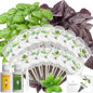 LYKOCLEAN Herb Seed Pod Kit Compatible with AeroGarden Hydroponics Growing System, Complete Indoor Gardening Supply (Basil, 16-pods) - color: Basil, size: 16-pods