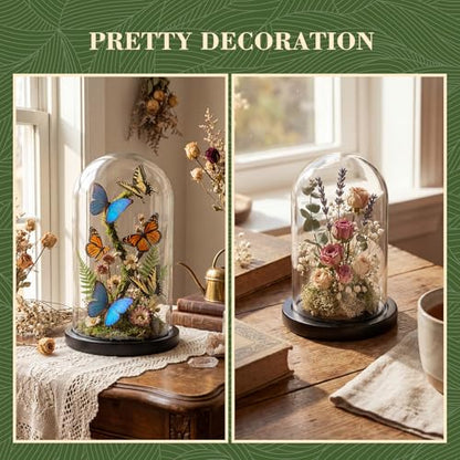 Suclain 4Pc Glass Dome Cloche with Wood Base, Black, 6.7" X 3.8" - color: Black, size: 6.7" X 3.8"
