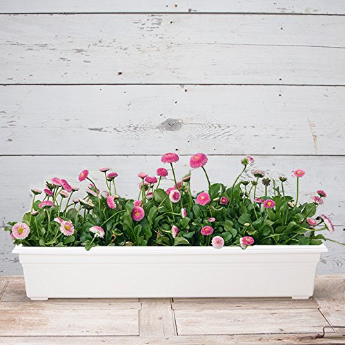 Root & Vessel 16362 Countryside Flower Box Planter, 36-Inch, White. - color: White, size: 36-Inch