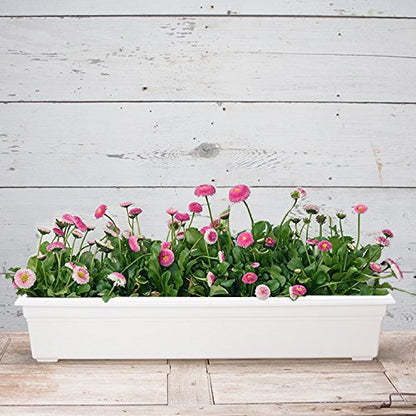 Root & Vessel 16362 Countryside Flower Box Planter, 36-Inch, White. - color: White, size: 36-Inch