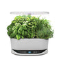 AeroGarden Bounty, White - color: Bounty White