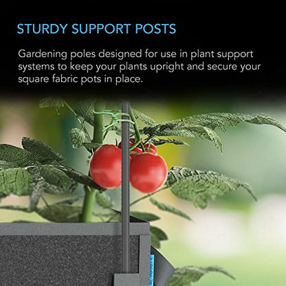 AC Infinity Garden Plant Stakes, Heavy-Duty Steel 60" - size: 60"