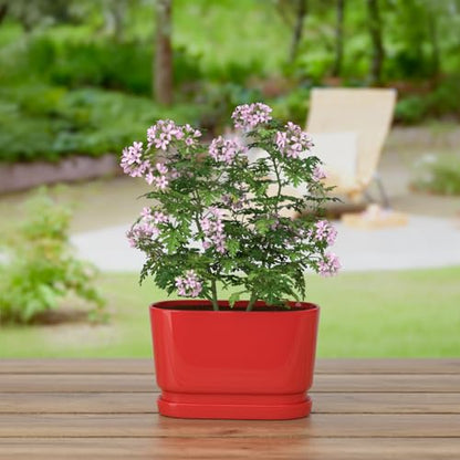 8.9" Rectangular Ceramic Planter with Drainage and Saucer, Red - color: Red, size: Medium