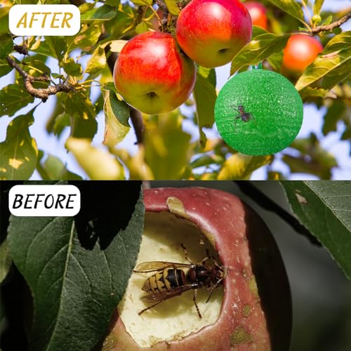 Qualirey 10 Pcs Sticky Fruit Fly Trap Ball Adhesive Fly Catching Ball Sticky Glue Fly Gnat Wasp Hornet Mosquito Bugs Flying Insects Trap Ball Traps (Green) - color: Green, size: Flat Top