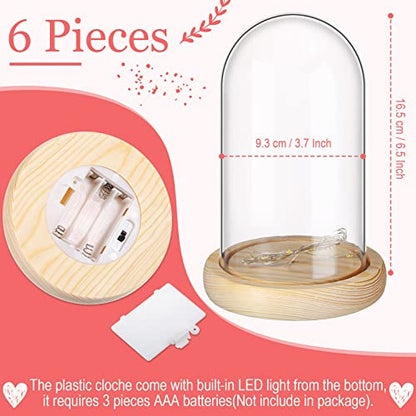 Remerry 6 Pcs Plastic Cloche Dome Display with Base and LED Light