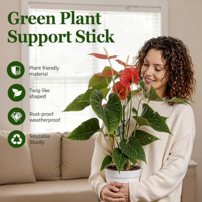 10 Packs Stackable Monstera Plant Support Stakes for Small Potted Plants