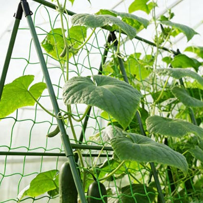 Garden Stakes 58inch (Approx 5FT) 100 Pack Tomato Stakes, Sturdy Tomato Stakes Plastic Coated Metal Plant Supports Plant Support Sticks for Gardening (5FT-100 Pack)