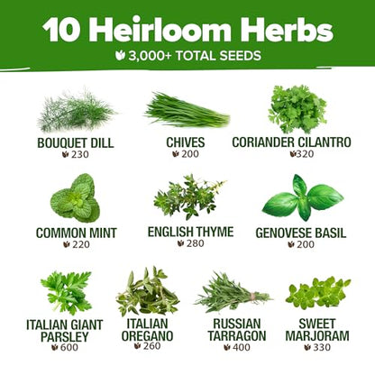 HOME GROWN 10 Herb Variety Pack 3000+ Seeds Extra Large Culinary Kit